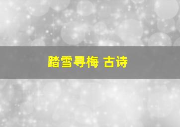 踏雪寻梅 古诗